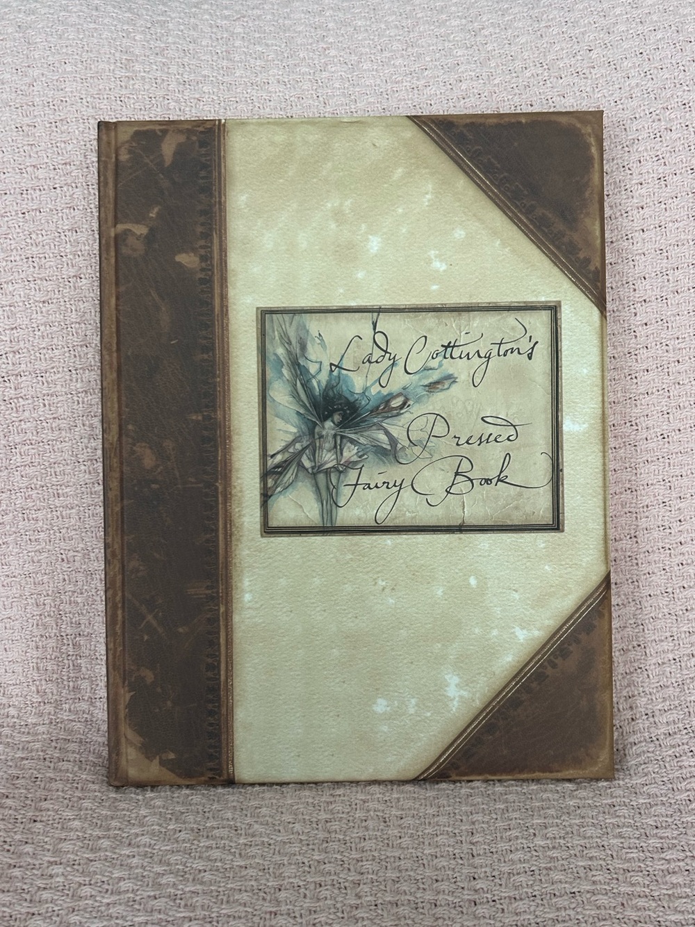 Lady Cottington's Pressed Fairy Book